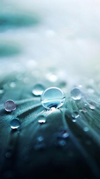 Wallpaper samsung galaxy s6 water drop awesome | Raindrops ...