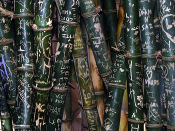 File:Bamboo with graffiti carvings.JPG - Wikimedia Commons