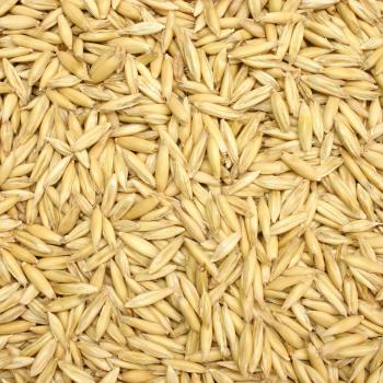 Home - Aegic | Australian Export Grains Innovation Centre