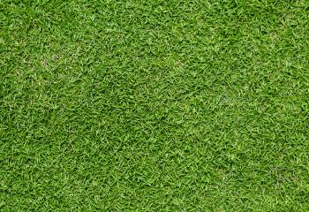 Earth Grass wallpapers (Desktop, Phone, Tablet) - Awesome Desktop ...