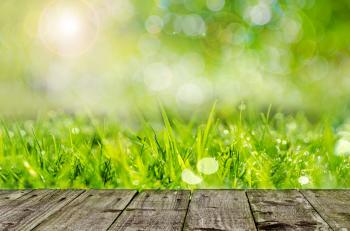 Wooden Floor And Green Grass Free Stock Photo - Public Domain Pictures