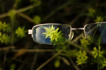 grass & glasses