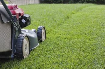 Grass Cutting | Rays Garden Service