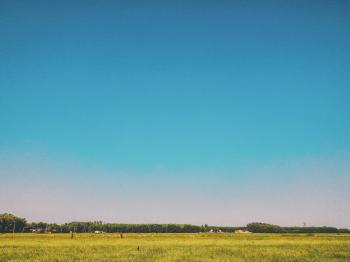 Grass Field Under Blue Sky at Daytime