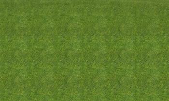 Desert-Blume-Grass-Texture | Desert Blume Estates - A Meadowlands ...