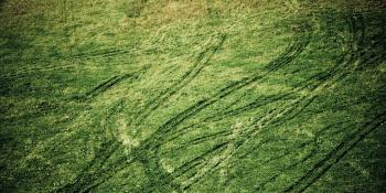 Grass tracks