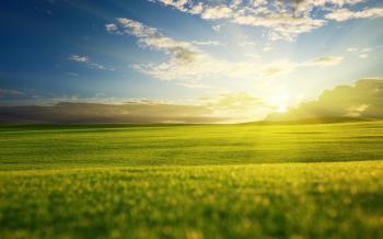 landscape nature views the field of the field grass travichka green ...
