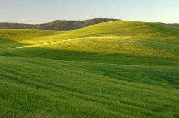 Green, Grassy hills landscape image - Free stock photo - Public ...