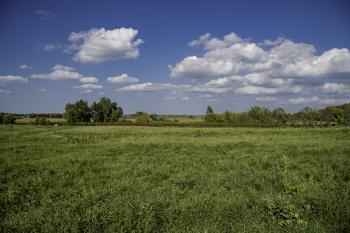 Grassy field landscape under sky and clouds image - Free stock photo ...