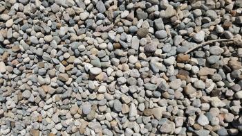 Bulk Rainbow River Gravel | Stone Forest Materials, LLC