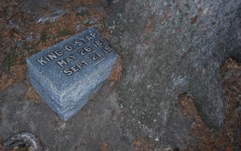 graveyard tree growing over grave stone | Renae Rude - The Paranormalist