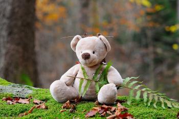 Gray Bear Plush Toy on Green Grass during Daytime