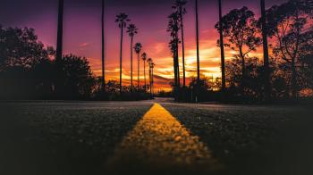 Gray concrete road in the middle of trees HD wallpaper | Wallpaper Flare
