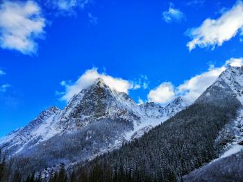 Gray Rocky Mountain Beside Pine Tree Under Blue Cloudy Sky during Day Time