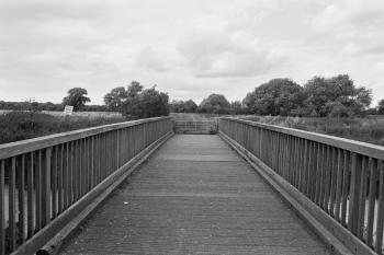 Grayscale Image of Bridge