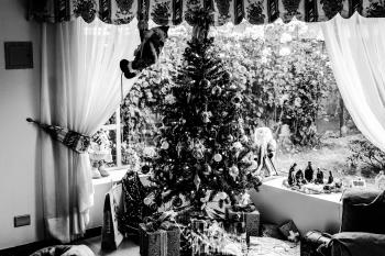 Grayscale Photo of Christmas
