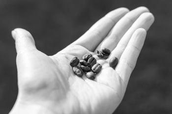 Grayscale Photo of Coffee Beans in Person's Palm