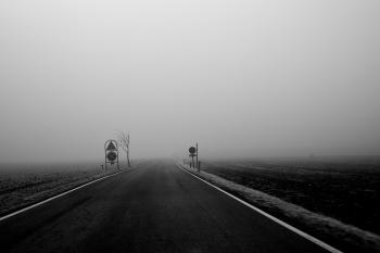 Grayscale Photography of Road