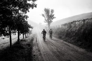 Grayscale Photography of Two Person Biking