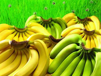 Green Banana Beside Yellow Banana