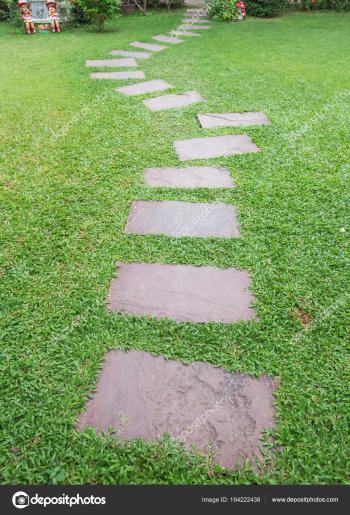 stone walk way between grass — Stock Photo © geargodz #164222438