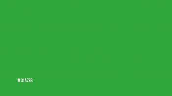 31a73b (dark green) info, conversion, color schemes and complementary.