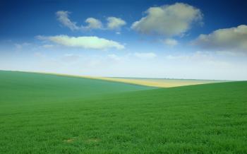 Lingo Explained : Greenfield vs Brownfield – Karim Vaes