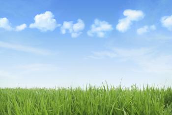 Green Field Very big - Caryl Communications : Caryl Communications