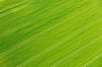 Green Field Background Free Stock Photo - Public Domain Pictures