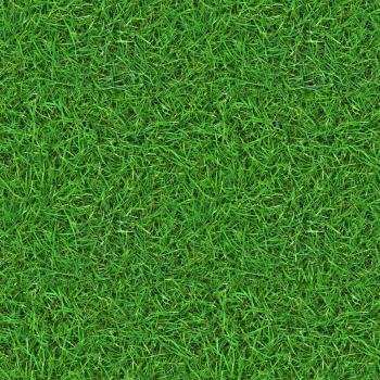 High Resolution Seamless Textures: (GRASS 2) seamless turf lawn ...