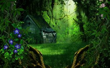 Greenforest Wallpaper Picture High Quality Hd Green Forest Dream ...
