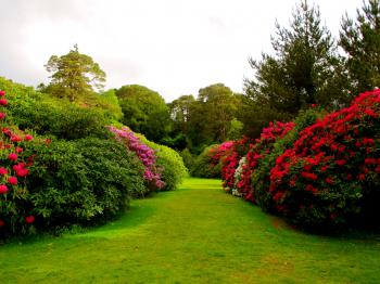 Green Garden Free Mobile Phone wallpaper | nature and landscape ...