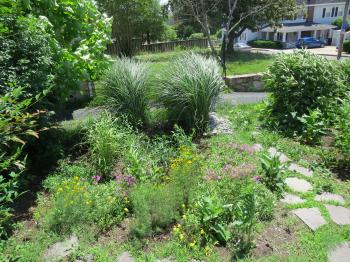 Green Home and Garden Tour - Environment