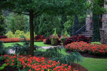 September 2011 – The Graceful Gardener