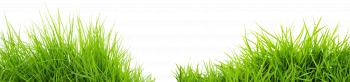 Grass PNG Transparent Grass.PNG Images. | PlusPNG