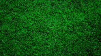 Wallpapers For > Dark Green Grass Background | Backgrounds ...