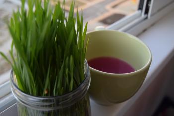 Green grass and a cup of punch