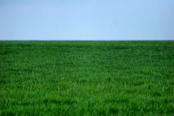 Lawn Care Service Loveland | (970) 690-4464 | Loveland Sprinkler and ...
