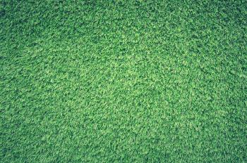 Green Grass Lawn
