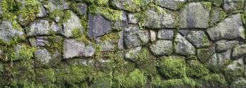 Texturex Large High Def Stone Wall Moss Growth Texture - TextureX ...