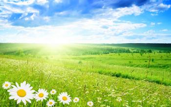 Green Landscape 16039 2560x1600 px ~ HDWallSource.com