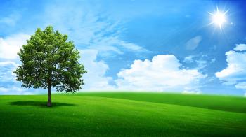 Green Nature Landscape | DayWallpaper