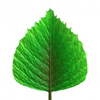 Green Leaf Free Stock Photo - Public Domain Pictures