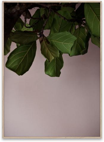 Green Leaves - PAPER COLLECTIVE