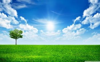 Green Nature ❤ 4K HD Desktop Wallpaper for • Dual Monitor Desktops ...