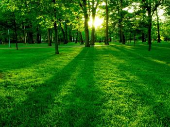 Wallpaper green nature wallpapers for free download about (3,860 ...