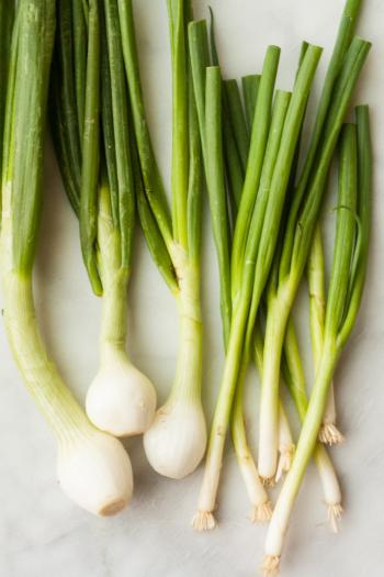Difference Between Scallions and Green & Spring Onions | Kitchn