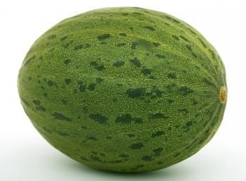 Green Oval Fruit