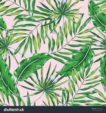 Green Palm Leaves On Pink Background Stock Photo (Photo, Vector ...