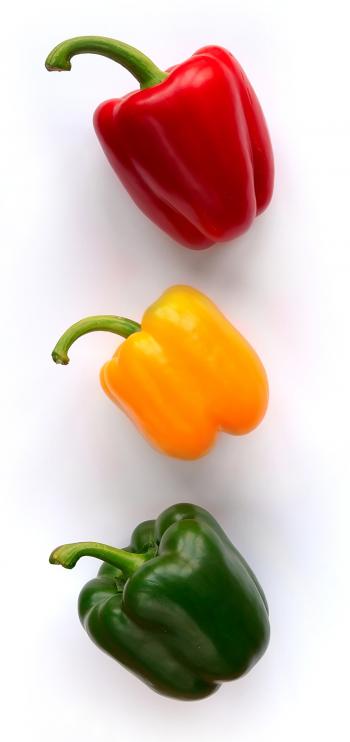Bell pepper - Wikipedia